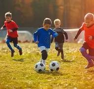 曲师大学信,息发布,截止至,米博体育平台,米博体育官方网站,米博体育登录入口,米博体育app下载