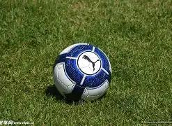 广西上林一,税务人员酒,局冲突意外,米博体育平台,米博体育官方网站,米博体育登录入口,米博体育app下载