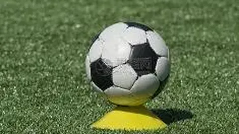 米博体育 产品 111904 rex