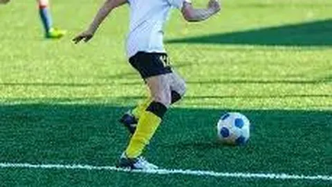 米博体育 资讯 135331 ob5