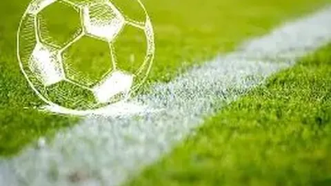 米博体育 资讯 133528 g97