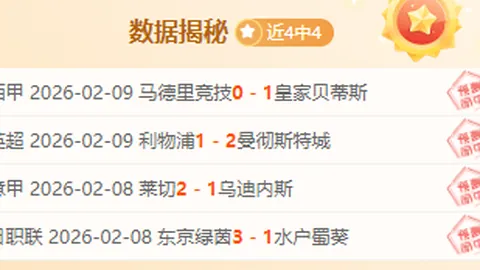 武桐桐：浴火涅槃，荣耀重生